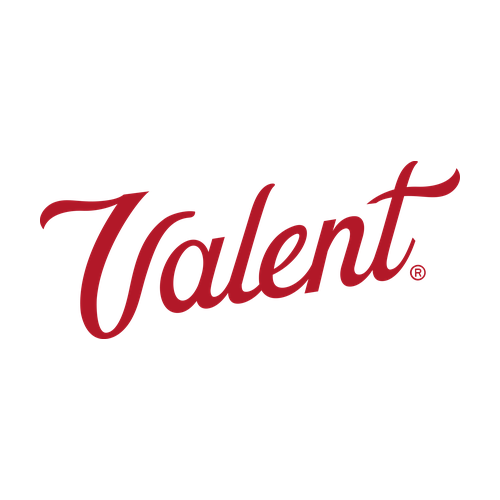 vanent-logo_500